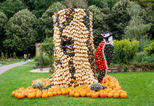 Gewinner Tagesfamilienkarte „Gartenschau Kaiserslautern“ stehen fest!