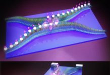 Datenverarbeitung erreicht kleinste Dimension: Integrierter „Nano-Schaltkreis” aus reinen Magnonen