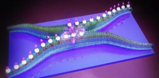 Datenverarbeitung erreicht kleinste Dimension: Integrierter „Nano-Schaltkreis” aus reinen Magnonen