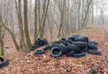 Illegale Altreifenablagerung am Parkplatz Gelterswoog – Zeugen gesucht!