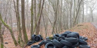 Illegale Altreifenablagerung am Parkplatz Gelterswoog – Zeugen gesucht!
