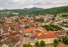 Nachhaltigkeit vor Ort Gestalten: Onlineveranstaltung für Kommunen im Pfälzerwald