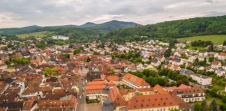 Nachhaltigkeit vor Ort Gestalten: Onlineveranstaltung für Kommunen im Pfälzerwald