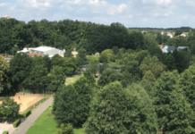 Mehr Grün für Lautern – 20 Bäume mehr pro Jahr