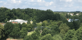 Mehr Grün für Lautern – 20 Bäume mehr pro Jahr