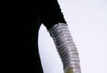 Kuriose Objekte aus verschiedenen Materialien – Ausstellung „Mirabilia“ in der Pfalzbibliothek Kaiserslautern