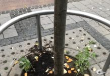 Cannabisanbau in der Fußgängerzone – Zeugen gesucht!