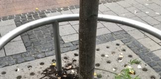 Cannabisanbau in der Fußgängerzone – Zeugen gesucht!