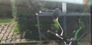 Moped gestohlen – Zeugen gesucht!