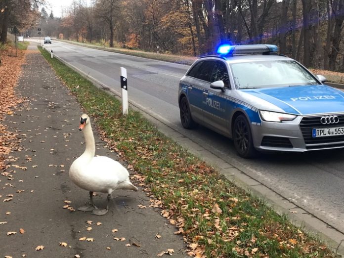 Foto: Polizei