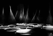 Appetithappen auf der Website – mpk macht Lust auf Kunst