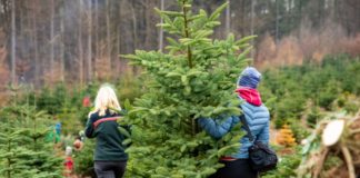Weihnachtswald in Johanniskreuz am 3. Adventswochenende geöffnet