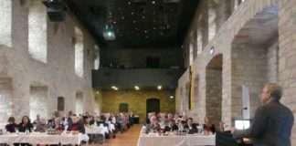 Bezirkstag Pfalz verabschiedet Haushalt für 2021