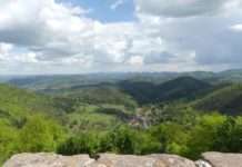 Projekt zur Demokratieförderung sowie Pfälzerwald-Fotowettbewerb