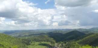 Projekt zur Demokratieförderung sowie Pfälzerwald-Fotowettbewerb