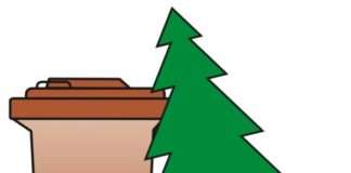 Weihnachtsbäume werden im Januar abgeholt – Entsorgung begleitend zur Bioabfallsammlung