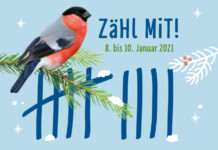 NABU Aktion: Welche Vögel sind noch da?