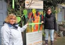 Der Hospizverein Kaiserslautern erstrahlt im grünen Licht