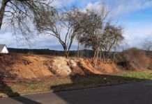 Wieder illegale Heckenrodung in Otterberg