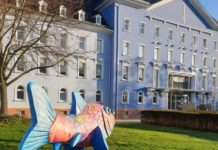 Bau AG: Kunterbunter Jubiläumsfisch