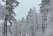 Schnee: Lastwagen steckt fest