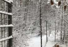 Zaunteile gestohlen – Zeugen gesucht!