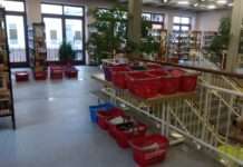 Angebot findet großen Anklang – Bürgermeisterin zieht erste Bilanz zum Abholservice der Stadtbibliothek