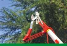 Neuer Service der Stadtbildpflege: Grünschnitt-Abholung