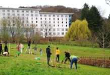 Gemeinsam für eine nachhaltige Zukunft: Zweite Runde von Zukunftswerkstätten im SDG-Projekt