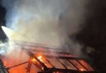 Gartenlaube niedergebrannt – Besitzer der Hütte erlitt einen Schock