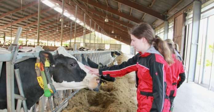 Bauernhofpädagogik1