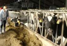 Tierwohl muss im Vordergrund stehen