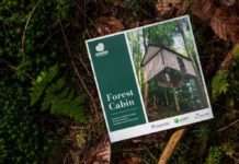 Studierende denken Wetterschutzhütten für den Pfälzerwald neu.