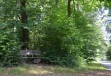 Hauptsache in der Presse!