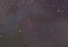 Junior Ranger Entdecker-Camp im Rahmen des Projekts ,,Sternenpark Pfälzerwald‘‘