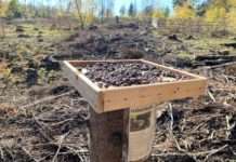 Best-Practice-Reihe „Kommunen Machen Klima“, Folge 5