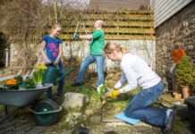 Gesundheitstipp: Fit bei der Gartenarbeit – Ausdauersport mit Schaufel und Schubkarre