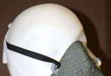 Am 03. März ist der Tag des Artenschutzes – Zoll leistet wichtigen Beitrag zum Schutz bedrohter Tiere und Pflanzen