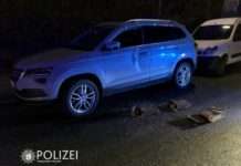 Auto mit Steinen beschädigt