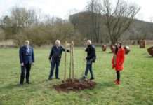 Möge der Baum wachsen und gedeihen – Sparkasse Kaiserslautern pflanzt Bäume in der Region