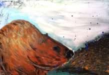 „Heimische Wildtiere unheimisch“