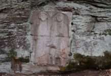 Vier Mini-Abenteuer im Wald mit Ahhhh-Effekt