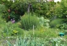 Teilnahme am Garten-Wettbewerb bis 30. April möglich