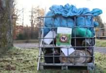 Save the date! „Rein in den Wald, raus mit dem Müll“