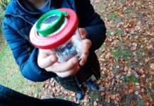 Nachhaltige Entwicklung im Pfälzerwald stärken