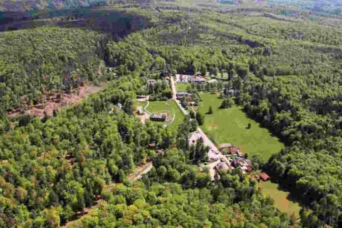 johanniskreuz_gruen2_mittel