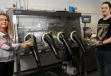 Neues aus der Erdgeschichte: Wie Sauerstoff produzierende Cyanobakterien unser Leben ermöglicht haben