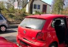 Wegen Eichhörnchen gebremst – Sachschaden in geschätzt fünfstelliger Höhe