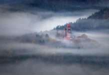 Bäume, Burgen, Buntsandstein