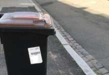 Biotonne wird ab Juni wöchentlich geleert – Küchen- und Gartenabfälle richtig entsorgen